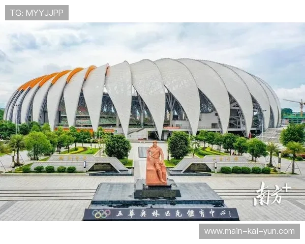 公益属性体育直播项目增多，借助赛事影响力传递社会价值